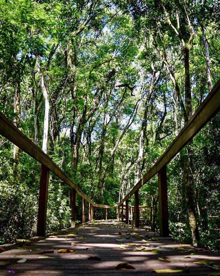 Mocona Virgin Lodge Thác Saltos del Moconá Ngoại thất bức ảnh