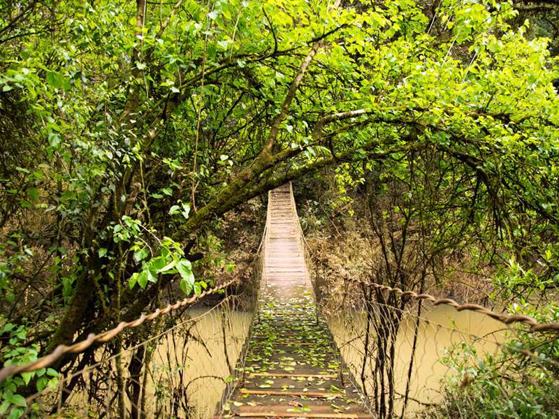 Mocona Virgin Lodge Thác Saltos del Moconá Ngoại thất bức ảnh